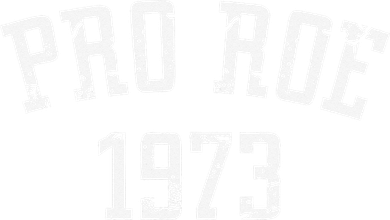 Pro Roe 1973 Distressed Toddler Hoodie