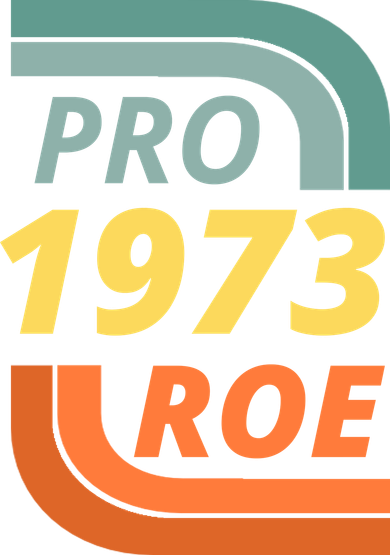 Pro Roe 1973 Roe Vs Wade Pro Choice Toddler Hoodie
