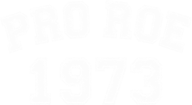 Pro Roe 1973 Vintage Distressed Gift Toddler Hoodie