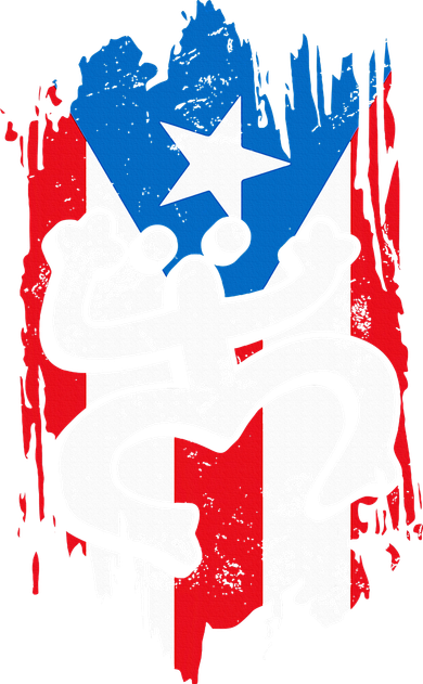 Puerto Rico Coqui Taino Symbol Puerto Rican Flag Frog Retro Kids T-Shirt