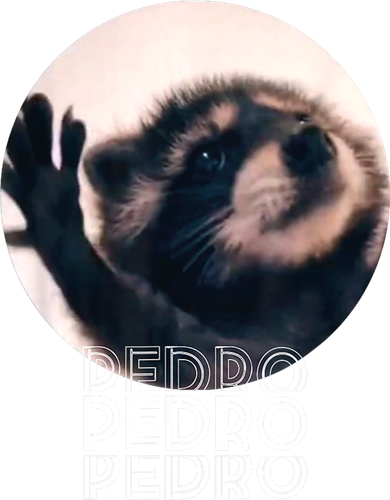 Pedro Racoon Dance Popular Internet Meme Mapache Dance Women's Dry Zone Grid Polo