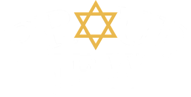 Proud Jew Jewish Star Logo Women's Hoodie