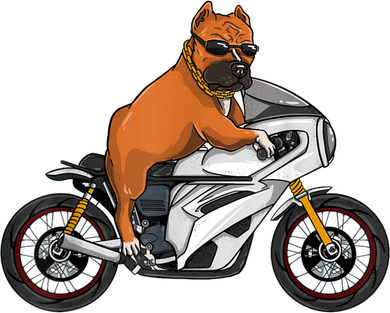 Pitbull Riding Motorcycle Funny Pit Bull Biker Pittie Dog T-Shirt
