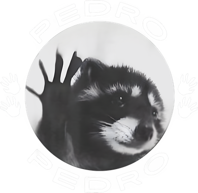 Pedro Raccoon Toddler T-Shirt