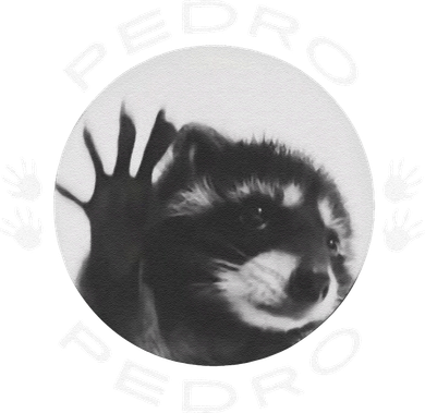 Pedro Raccoon Toddler T-Shirt