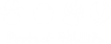 Protect Wildlife Women's Tank Top