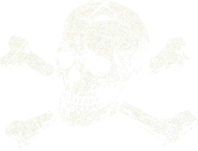 Pirate Skull And Crossbones Flag Toddler T-Shirt