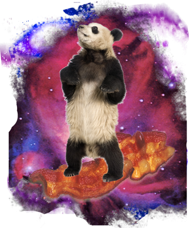 Panda Surfing Bacon In Space Women's Dry Zone Grid Polo