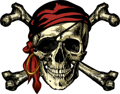 Pirate Skull Crossbones Toddler T-Shirt