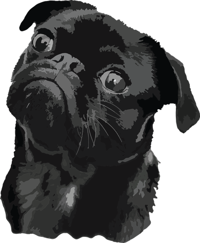 Pug Shirts For Dog Mom Dad Funny Cute Black Pug Women's Long Sleeve Shirt
