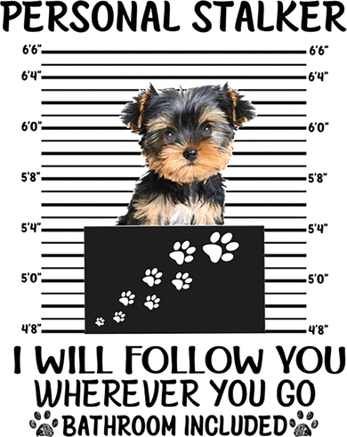Personal Stalker I Will Follow You Yorkie Lovers Cool Gift Coffee Mug