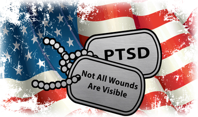 PTSD Not All Wounds Are Visible Dog Tags Long Sleeve Shirt