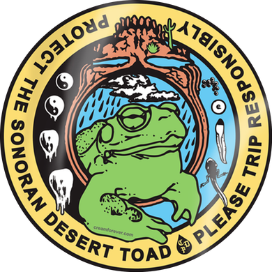 Psychedelic Toad Of The Sonoran Desert Women's T-Shirt