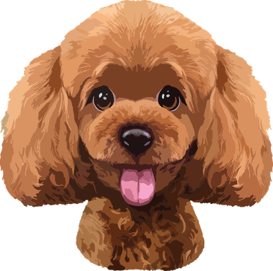 Playful Toy Poodle Face Funny Dog Women's V-Neck T-Shirt