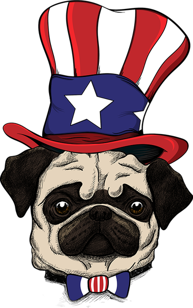American Patriotic Pug Visor