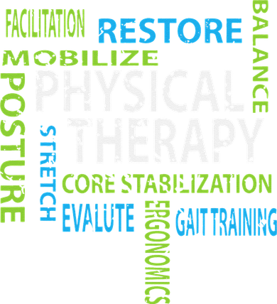 Physical Therapist PT Gift Motivational Physical Therapy Women's T-Shirt
