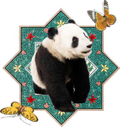 Panda With Butterflies Kids Hoodie