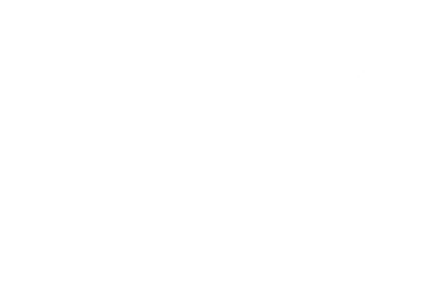 Pickleball Y'all Funny Women's V-Neck T-Shirt