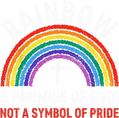 Rainbow A Promise Of God Not A Symbol Of Pride Button
