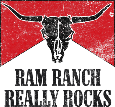 Retro Bull Skull Western Life Country Ram Ranch Rockin' Vibes Hooded Wearable Blanket
