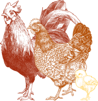 Retro Chickens Kids Hoodie