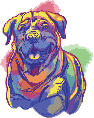 Rottweiler Colorful Dog Kids Sweatshirt