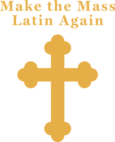 Roman Catholic Gift Make The Mass Latin Again Toddler Hoodie