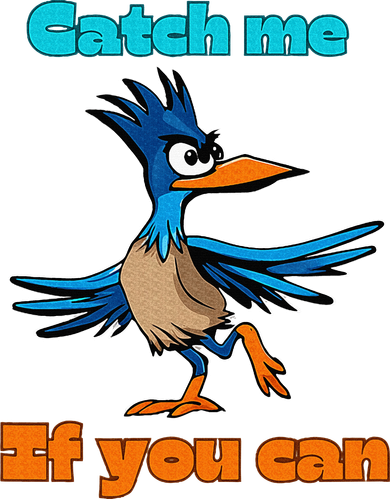 Roadrunner Catch Me If You Can Coaster