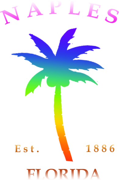 Retro Cool Original Naples Florida Beach Palm Tree Gift Women's Sweatshirt