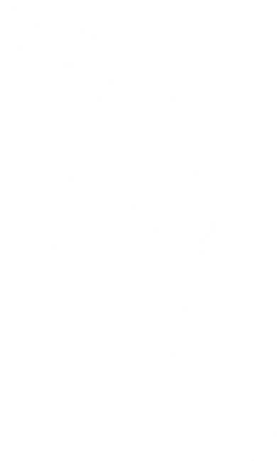 Rock Cat Playing Guitar Funny Guitar Cat Tank Top