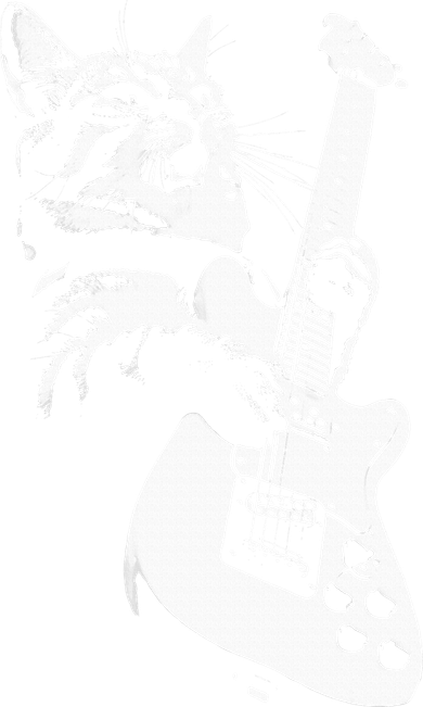 Rock Cat Playing Guitar Funny Guitar Cat Tank Top