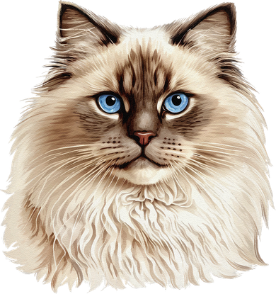 Ragdoll Cat Portrait Ragdoll Cat Head Ragdoll Cat Face Toddler T-Shirt