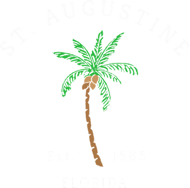 Retro Cool St. Augustine Florida Colorful Palm Tree Novelty Women's Long Sleeve Shirt