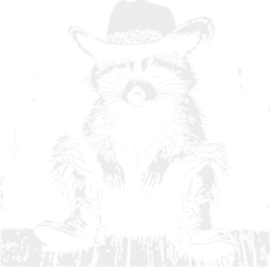 Raccoon Cowboy Western Kids Hoodie