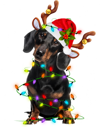 Reindeer Dachshund Christmas Lights Funny Reindeer Dackel Great Gift Kids Sweatshirt