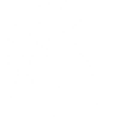 Rodeo Doge Funny Dogecoin Polo