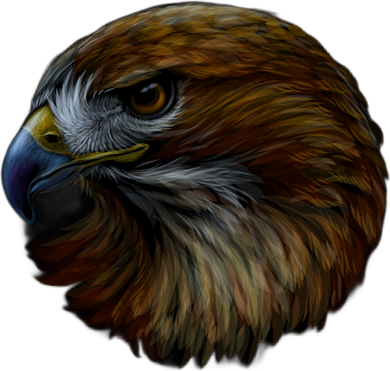 Realistic Eagle Close Up Toddler Hoodie