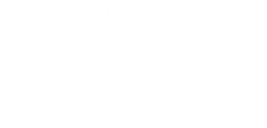 Republicans For Biden Some Of Us Are Sane Women's T-Shirt