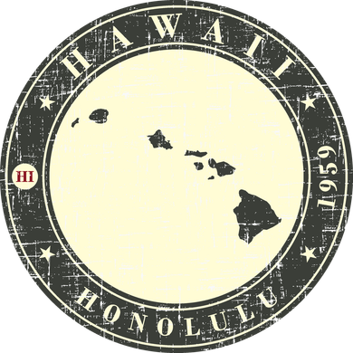 Hawaii Retro Button