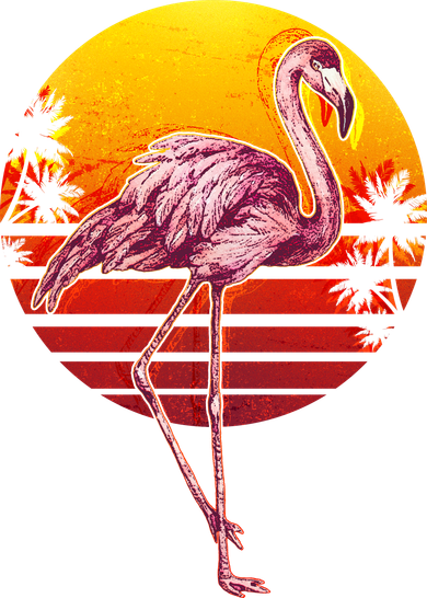 Retro Vintage Flamingo  Coaster