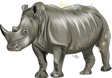 Rhinoceros From A Splash Ceramic Ornament