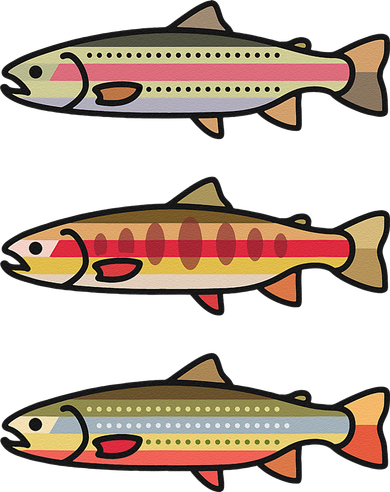 Rainbow Golden Brook Trout Fishing Gift For Anglers Hat
