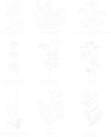 Reproductive Health Herbs Plant Lover Herbalist Women's T-Shirt