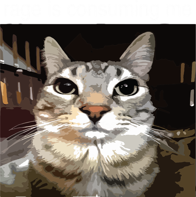 Rage Is Consuming Me Silly Staring Cat Meme Women's T-Shirt