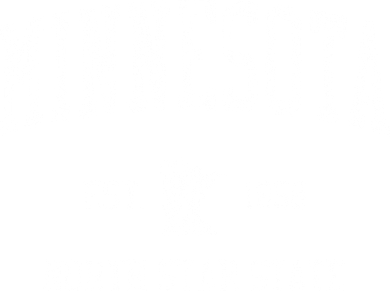 Retro Minnesota Vintage Sports Doddie Hoodie