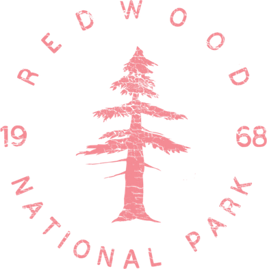 Redwood National Park Redwood Forest Design US Parks Bucket Hat