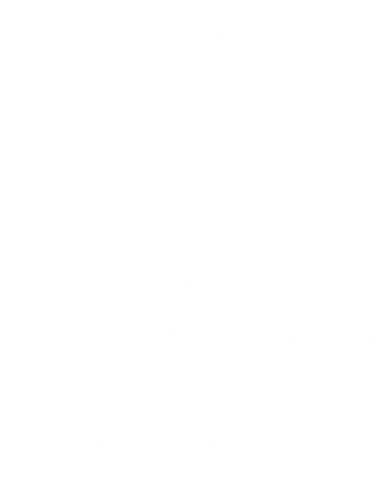 Rescuing One Dog Will Not Change The World But It Will Change The World For That Women's T-Shirt