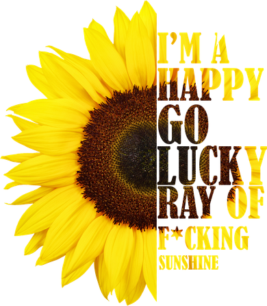 Happy Go Lucky Ray Of Sunshine Toddler Hoodie