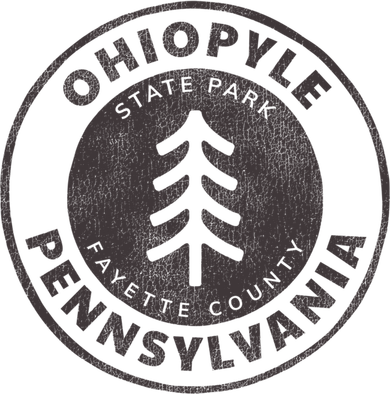 Retro Ohiopyle State Park Pennsylvania Souvenir Design Meaningful Gift Kids T-Shirt