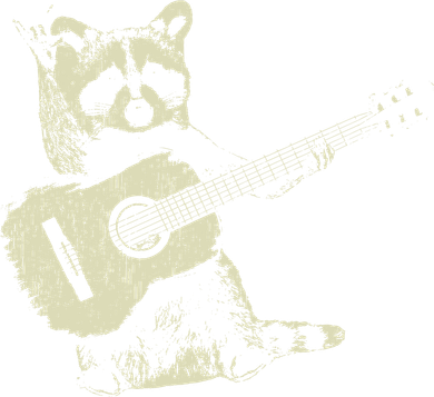 Raccoon Playing Guitar Music Hooded Wearable Blanket